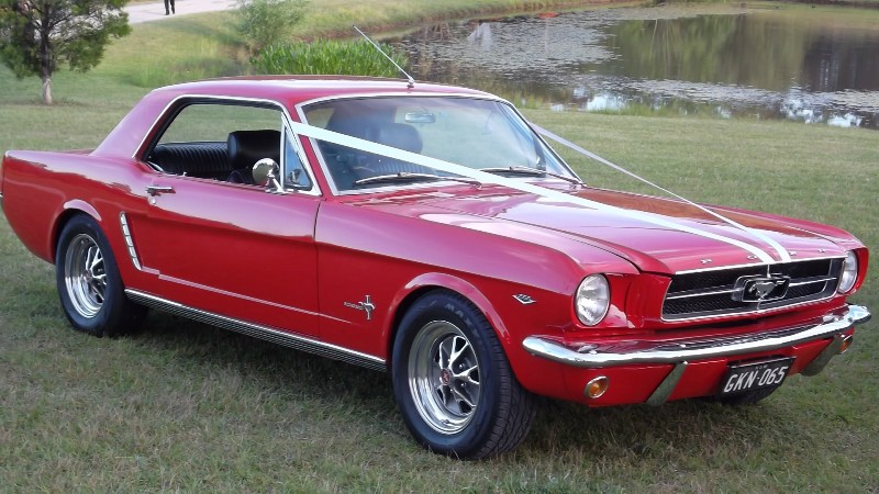 Greg's '65 Mustang Coupe